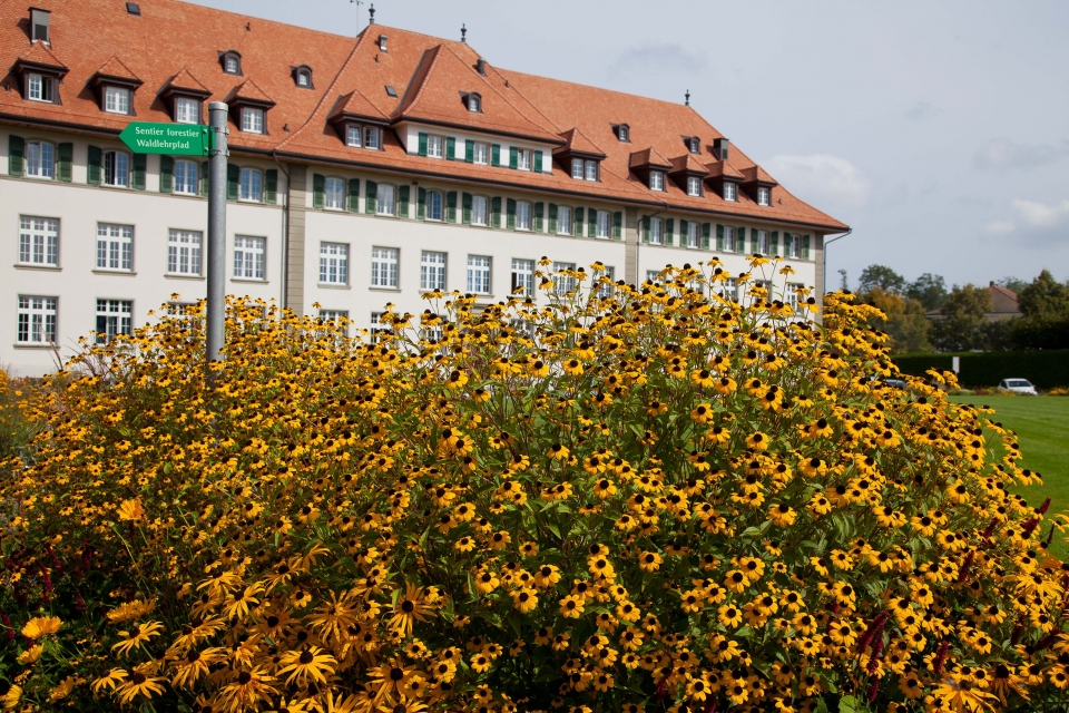 Image Grangeneuve geht neue Wege: Zweisprachige Klassen für die Ausbildung zur Landwirtin / zum Landwirt EFZ